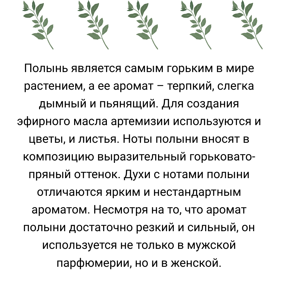 Полынь-трава горькая. Магические и парфюмерные свойства полыни. | Клавдия  Князева | Дзен