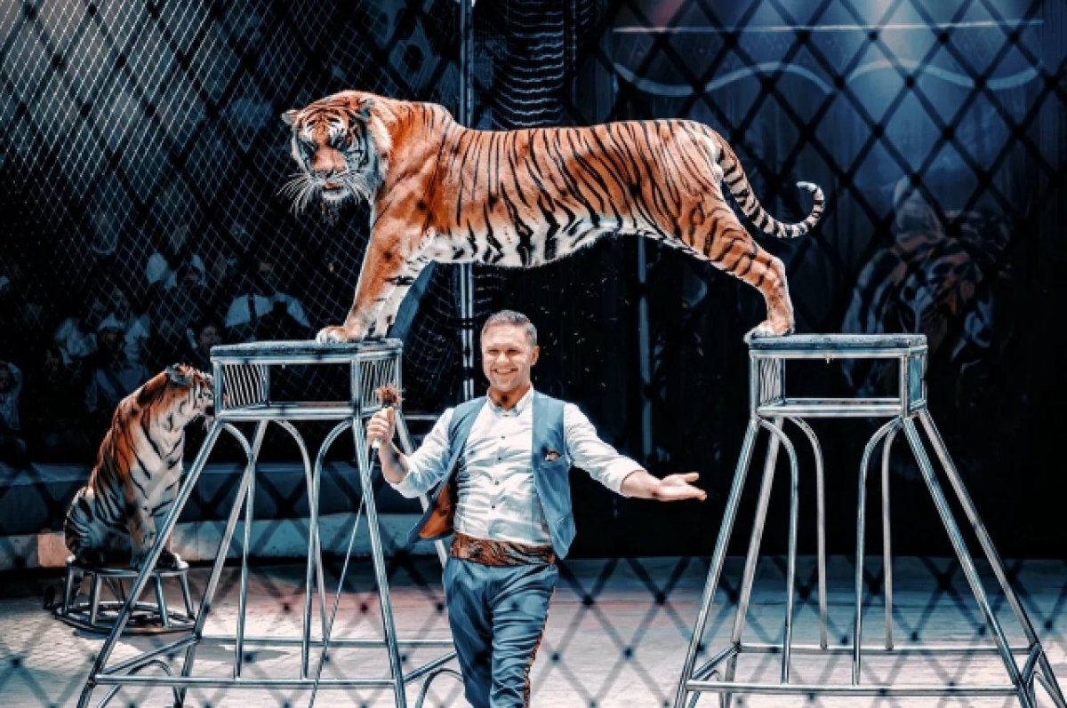    С ними надо постоянно говорить…