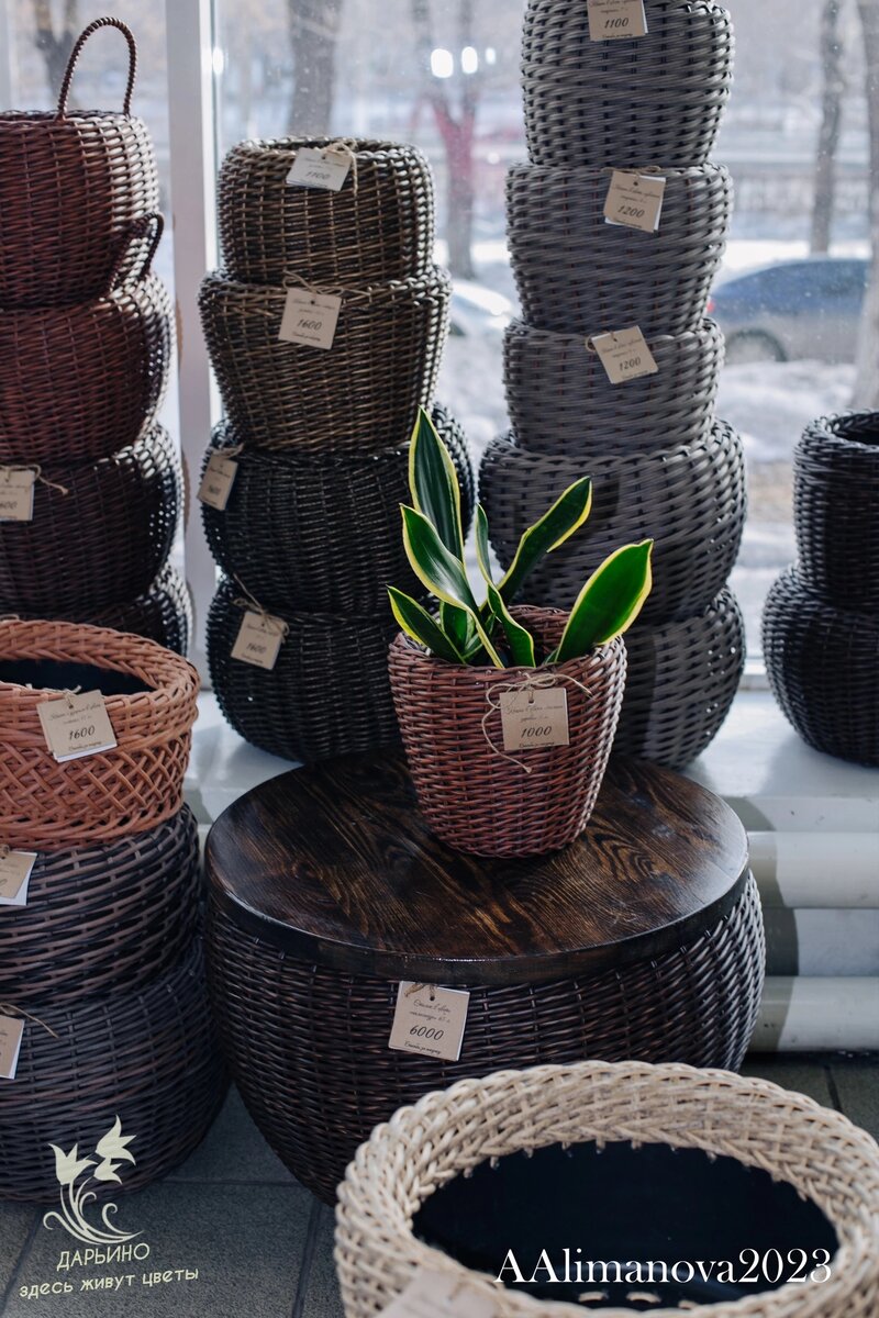 Кашпо из экоротанга на нашей выставке. Мастер - Вера Мальцева, Магнитогорск