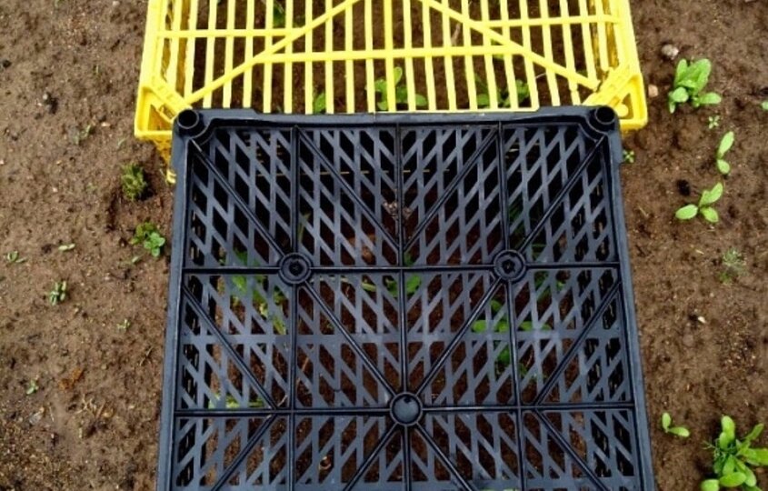 Куча идей, как использовать в огороде бесплатные пластиковые ящики с мусорки