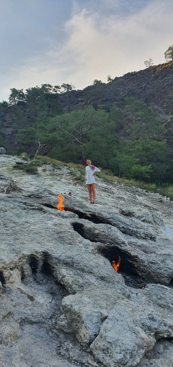 Найди кота...😁