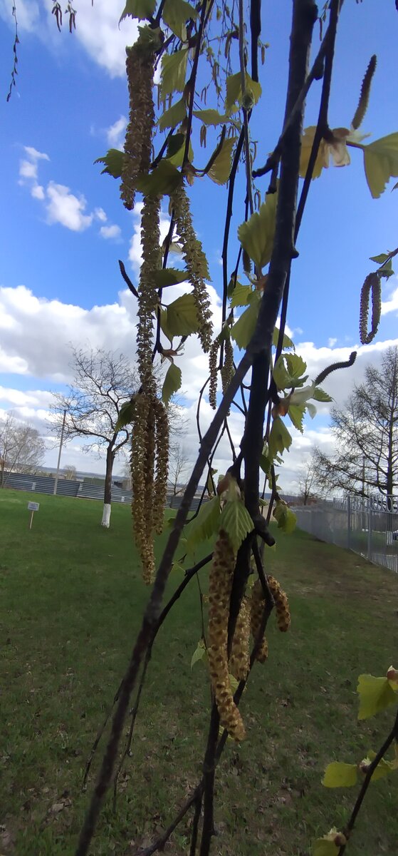 Личное фото