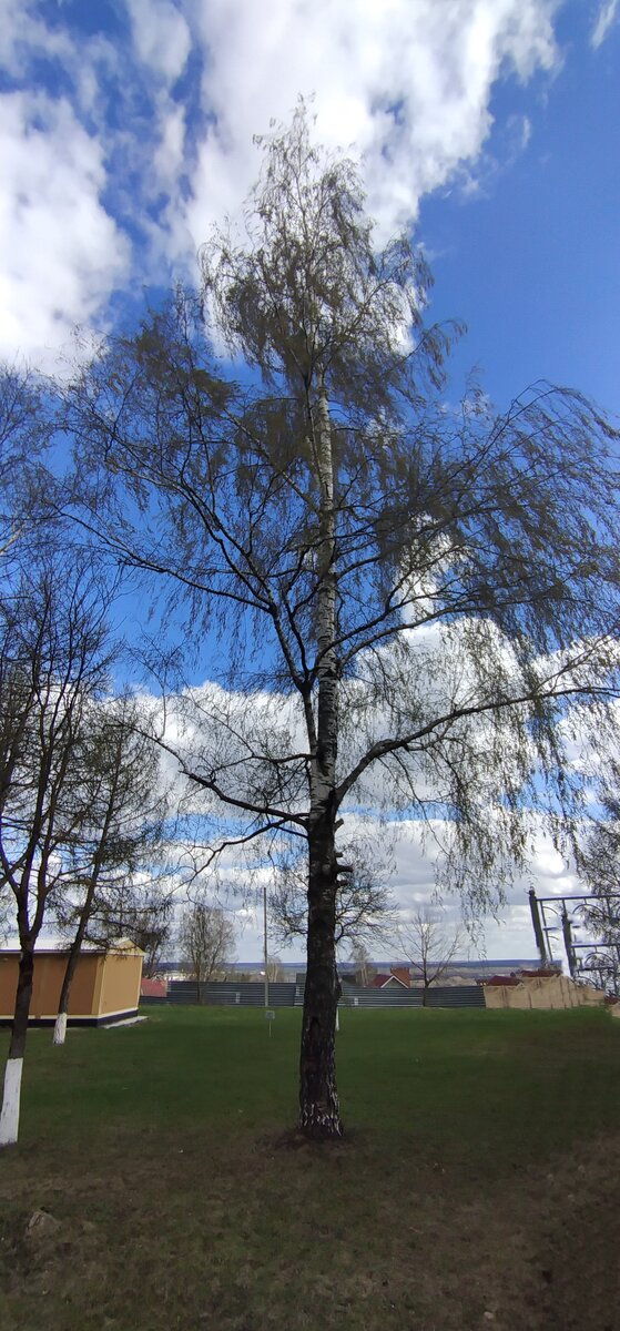 Личное фото