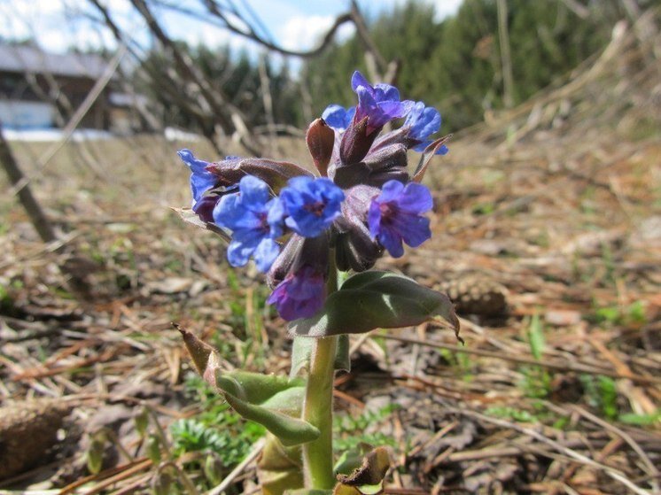     Фото: пресс-служба НП "Таганай"