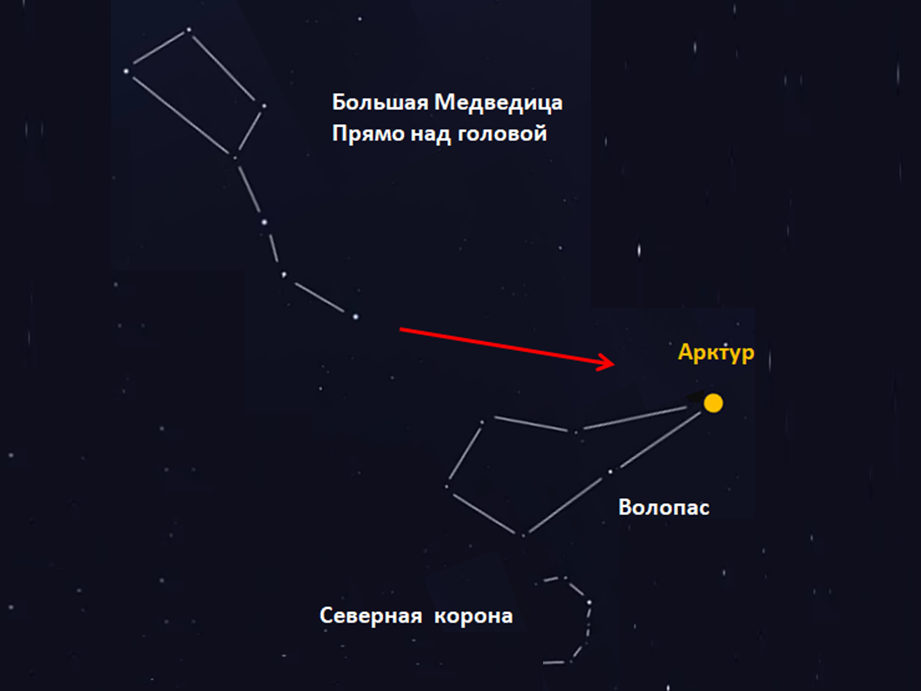 Оранжевый Арктур легко найти, продолжив "хвост" Большой Медведицы. Ищем астеризм (легко узнаваемую группу звёзд) созвездия Волопас. Мне этот астеризм напоминает грушу.