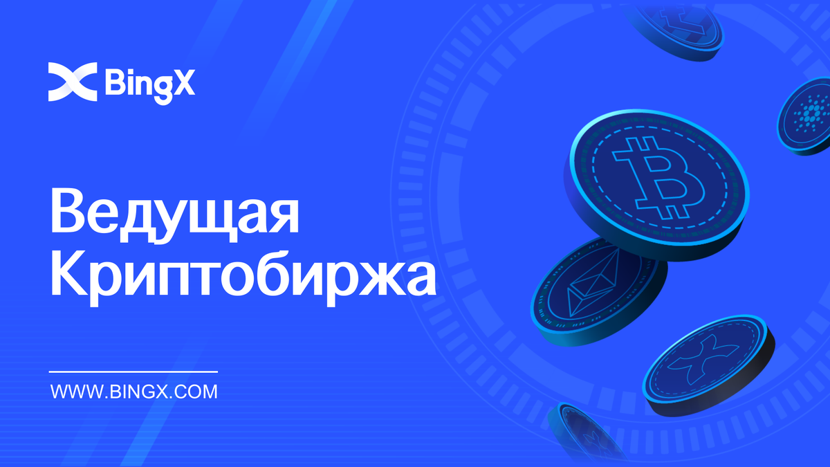 САЙТ BINGX НЕ РАБОТАЕТ?