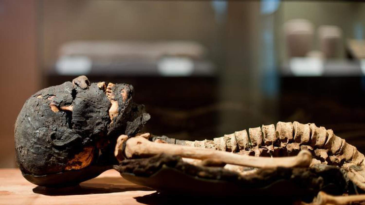 Иду - одна из немногих сохранившихся мумий Древнего Царства.