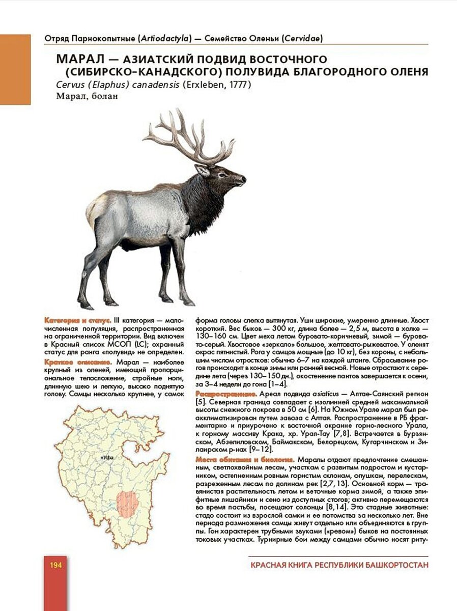 Страница из Красной книги РБ (Том «Животные», 2014 г.)