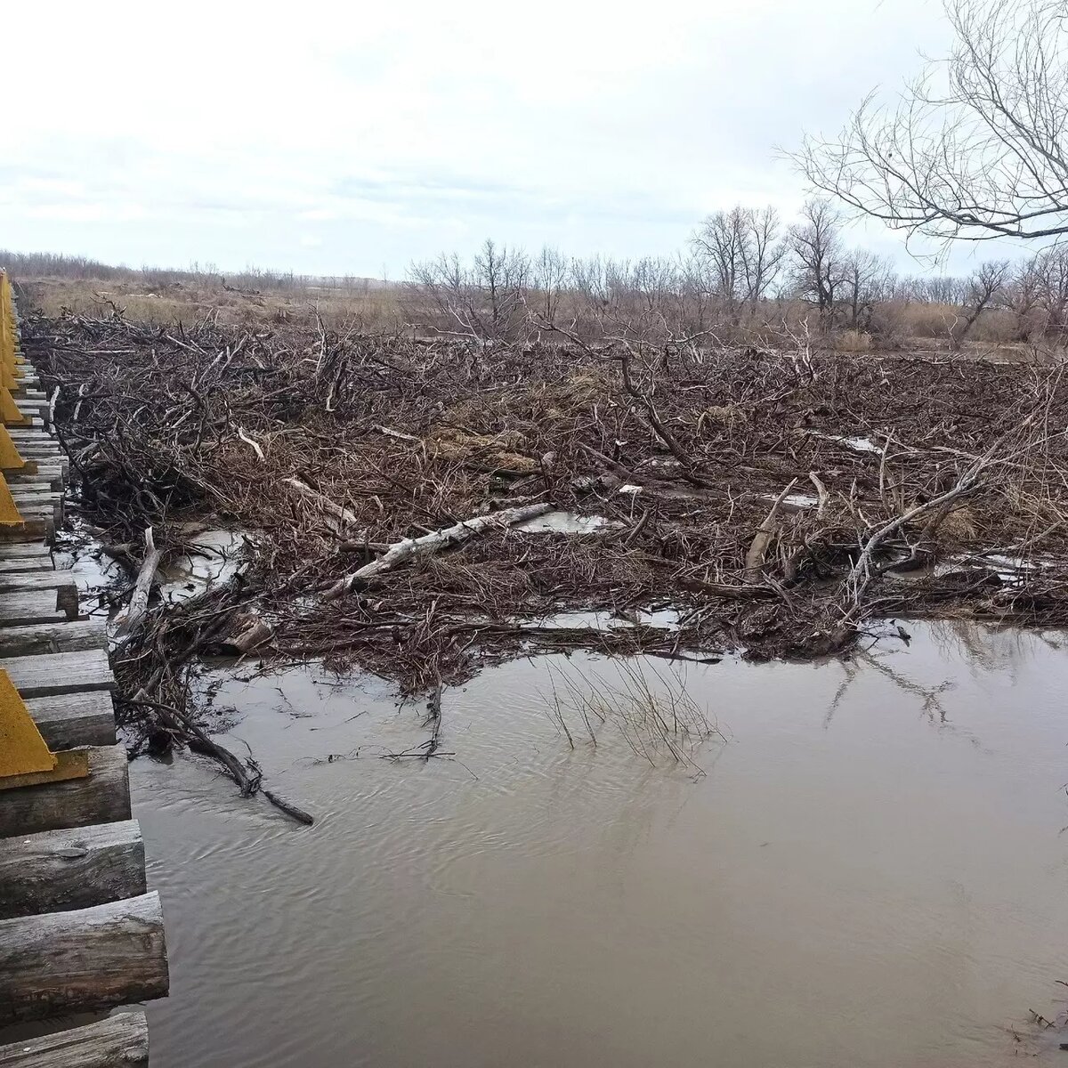     Источник: Ишим Переподслушано