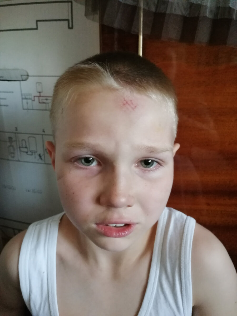 Пришел с прогулки в таком состоянии.