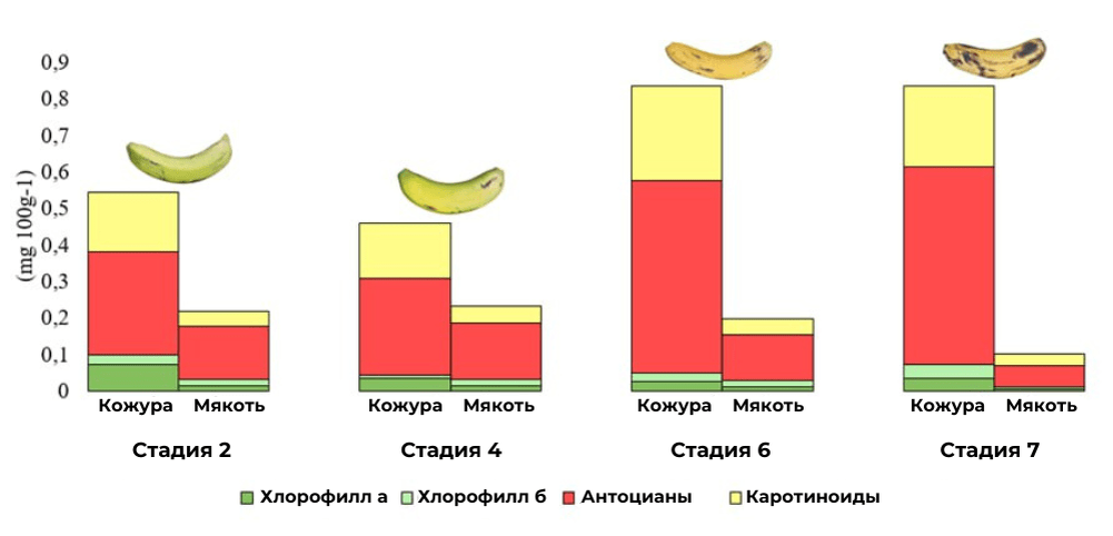 Количественное определение пигментов хлорофилла А, хлорофилла В, антоцианов и каротиноидов в мякоти и в кожуре плодов на стадии 2 (зелёный со светло-жёлтыми следами), стадии 4 (более жёлтый, чем зелёный), стадии 6 (жёлтый) и стадии 7 (жёлтый с коричневыми пятнами)