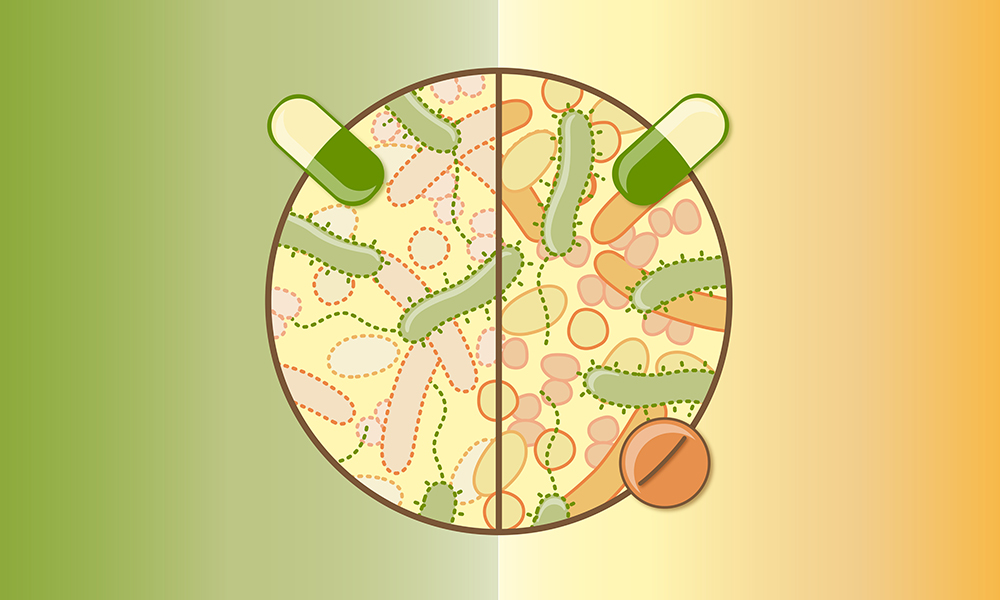 Иллюстрация: embl.org