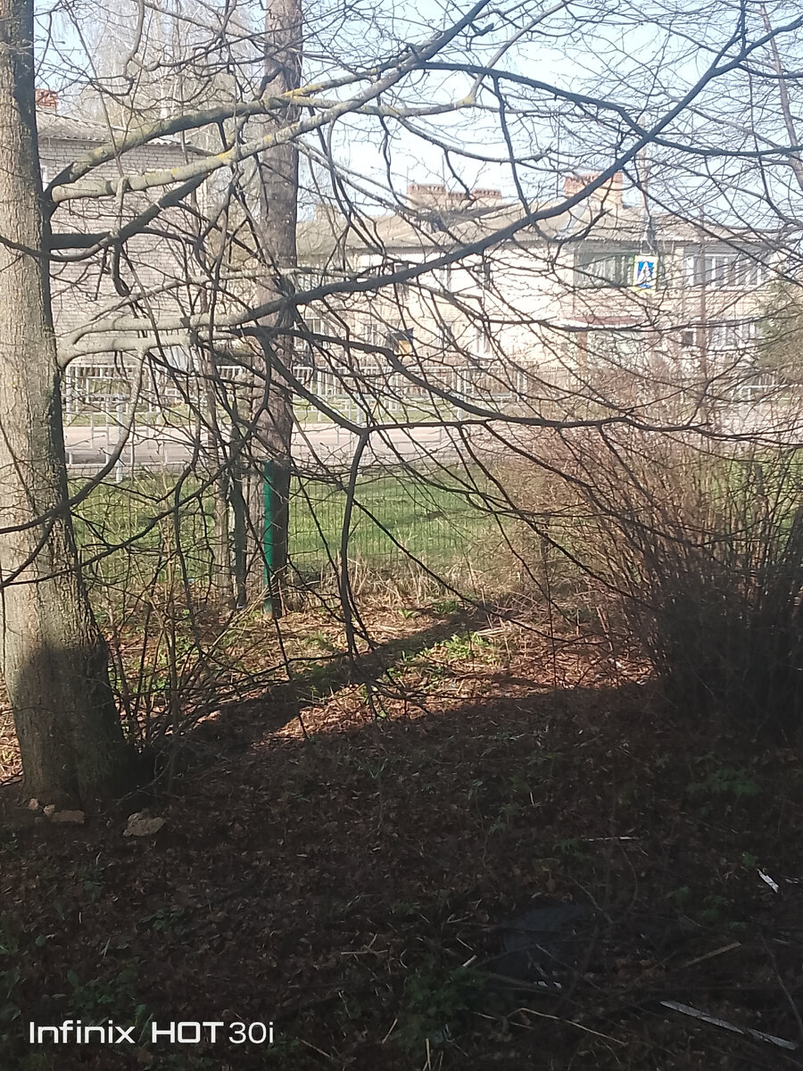 Я снова жарю драники! | Оптимистка на пенсии. | Дзен