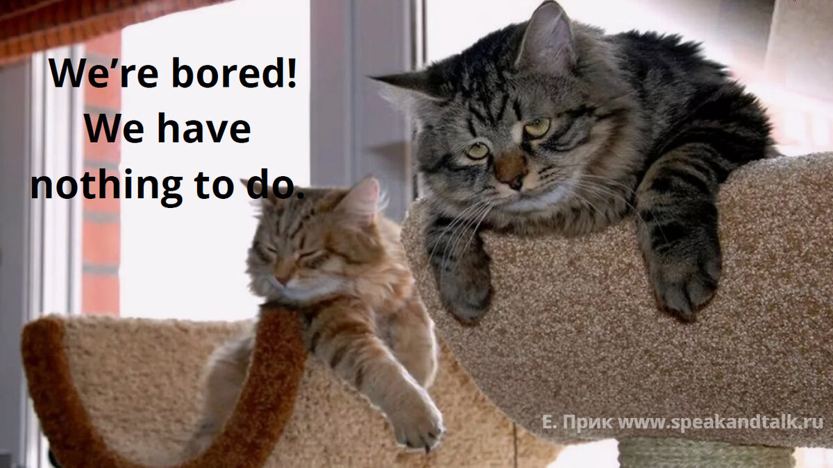 Нам скучно! Нам нечего делать. (фото взято с Yandex.ru/images)