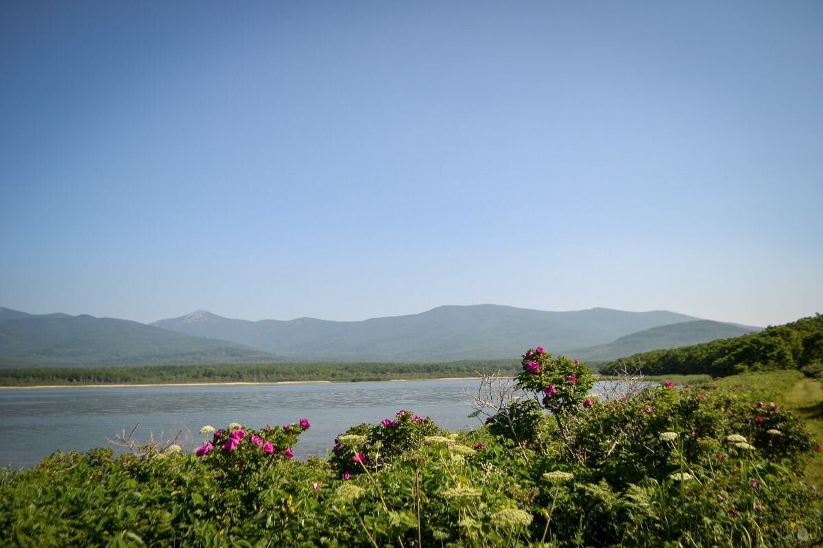 источник idilesom.com