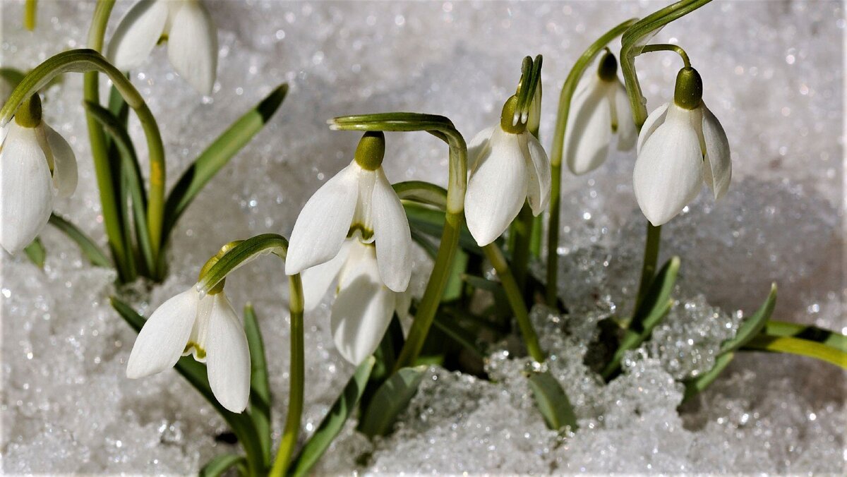 Фото из интернета