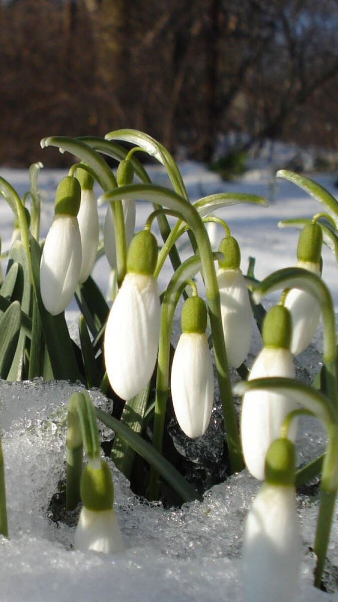 Фото из интернета