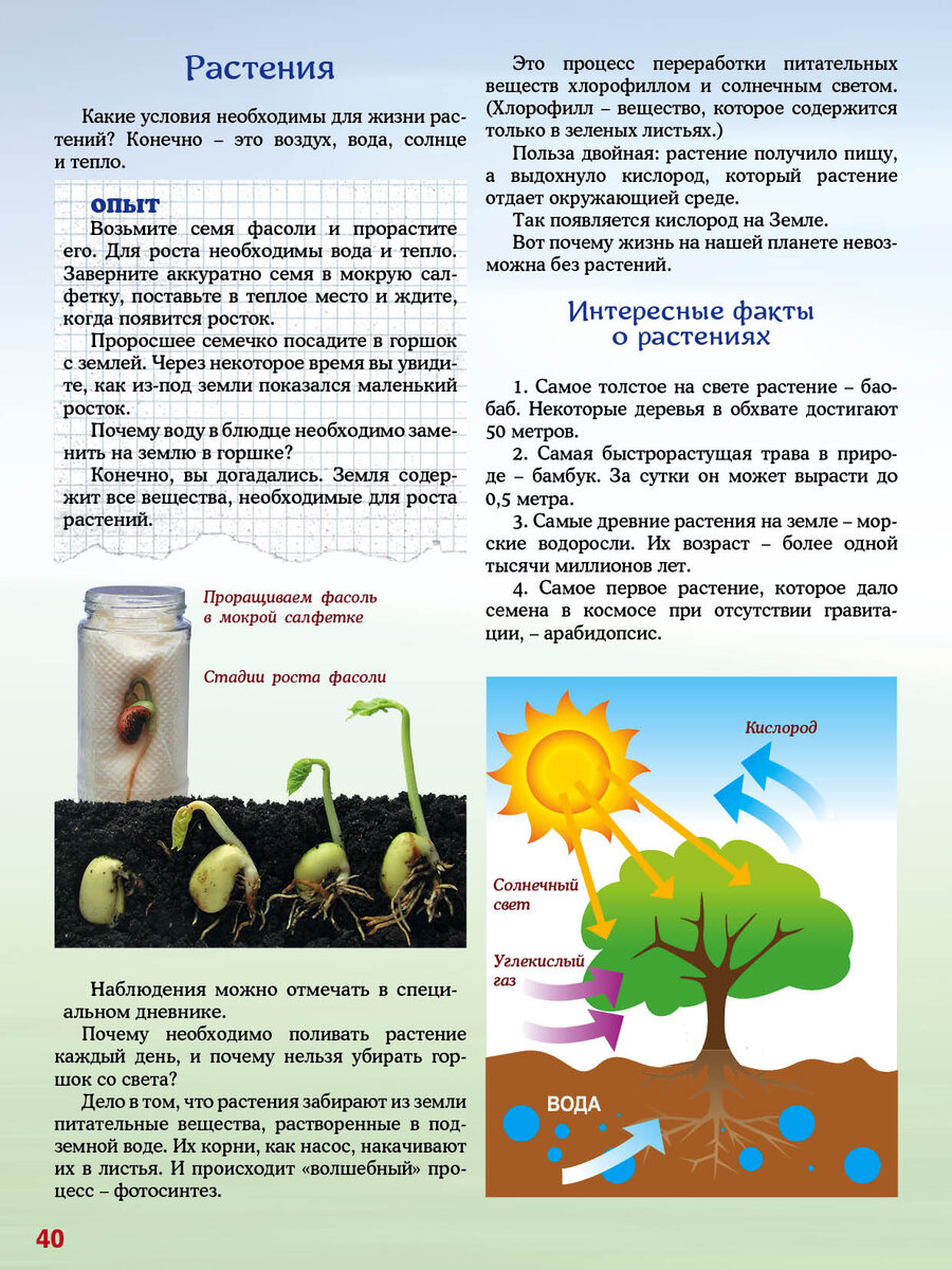 ПЛАНЕТА ЗЕМЛЯ - НАШ ДОМ | ЛИСТОК | Дзен