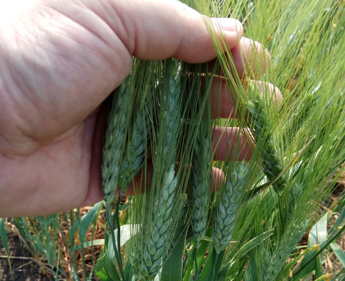 Фото: Е.Карабанов