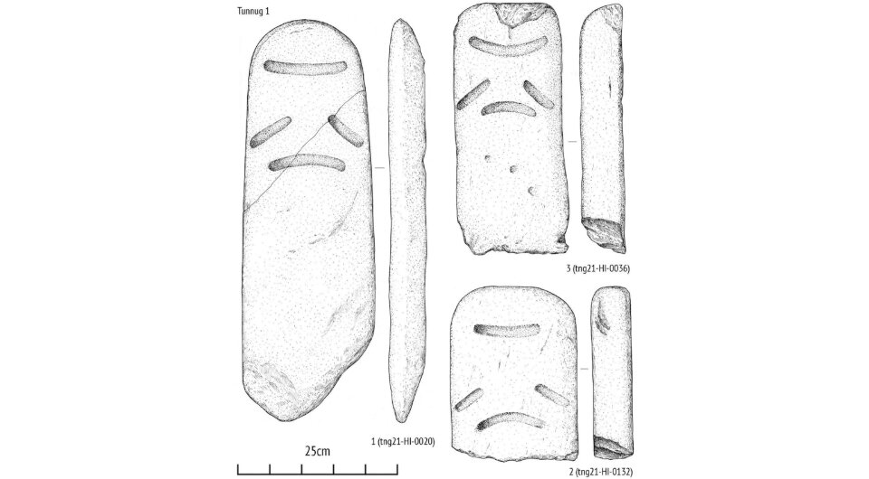   Timur Sadykov et al. / Archaeological Research in Asia, 2024