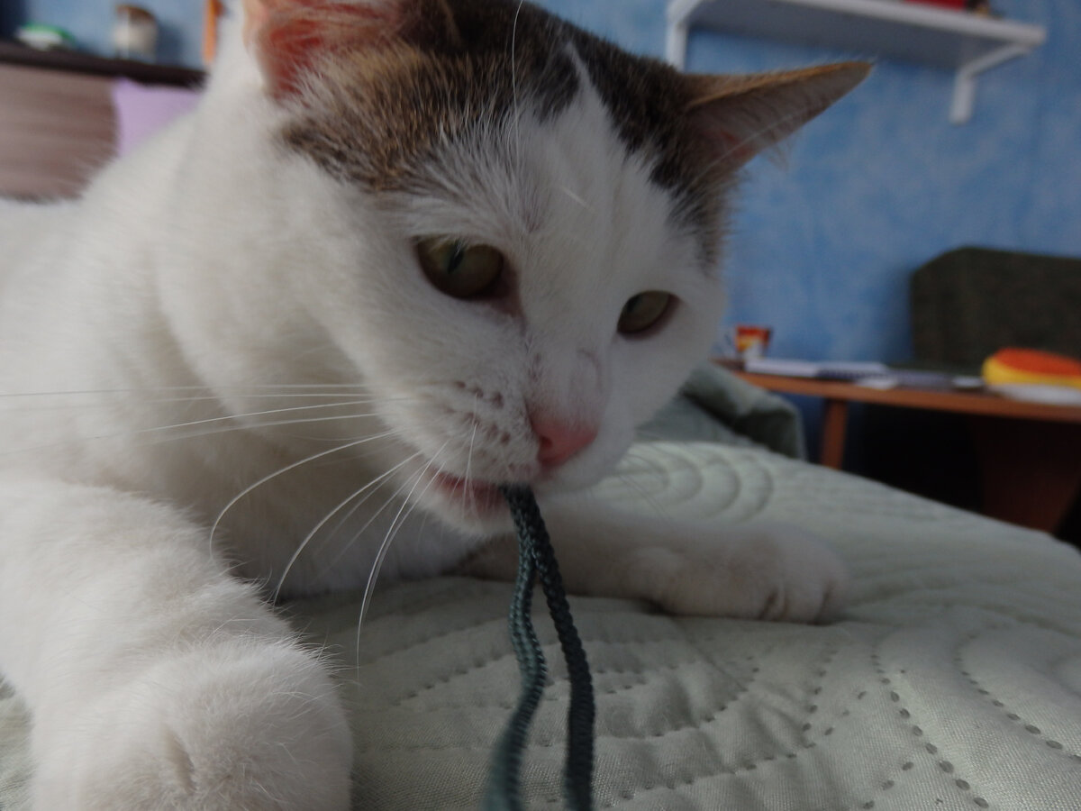 лист галерею