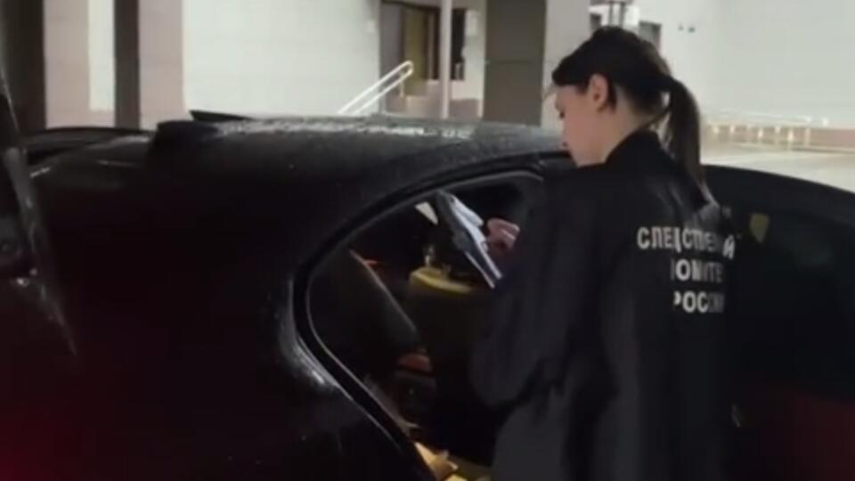 Фото: скриншот видео