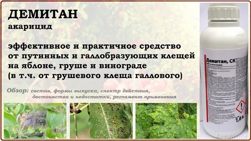 Демитан - средство от галлового клеща груши, а также паутинных клещей на яблоне и винограде. Обзор