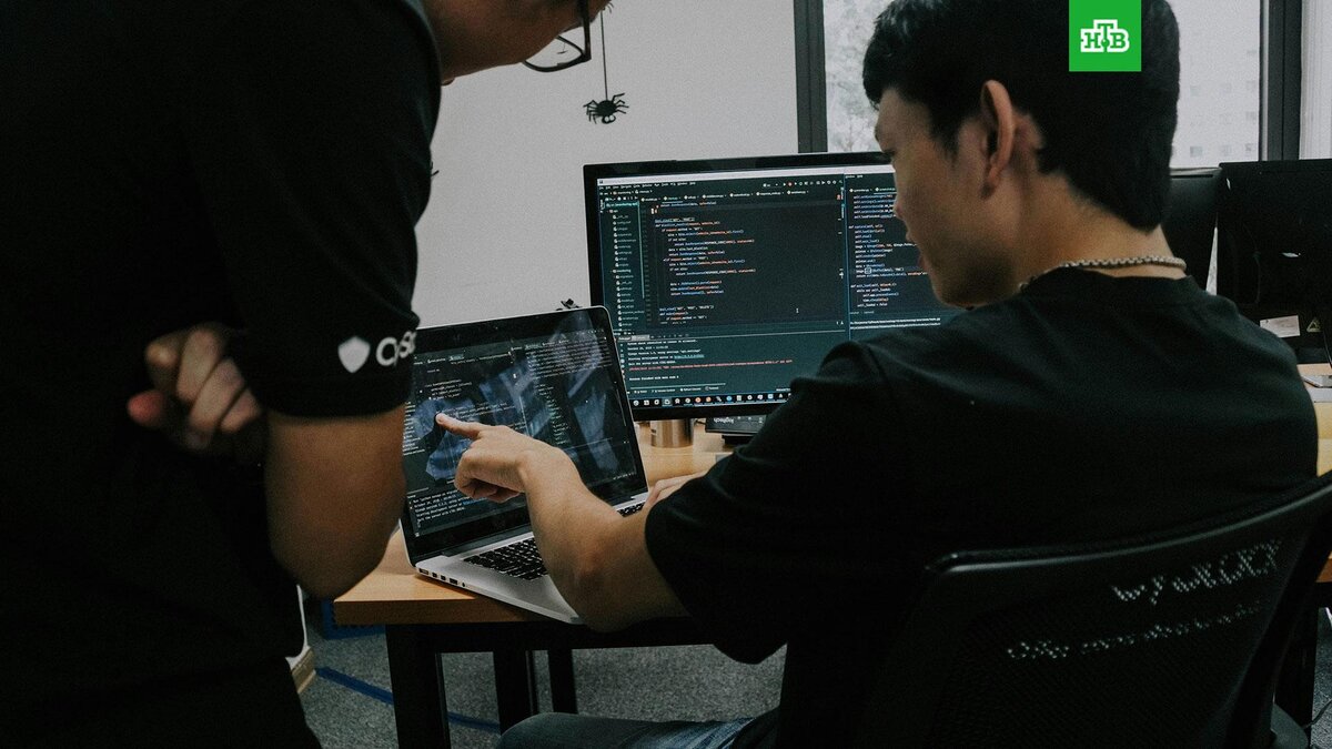    Фото: haky / unsplash.com