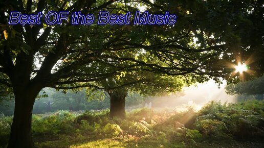 Best Of The Besr Music - Mystical melodies. Шикарнейшая и красивейшая успокаивающая музыка для сна, релакса и отдыха. Авторские новинки 2024