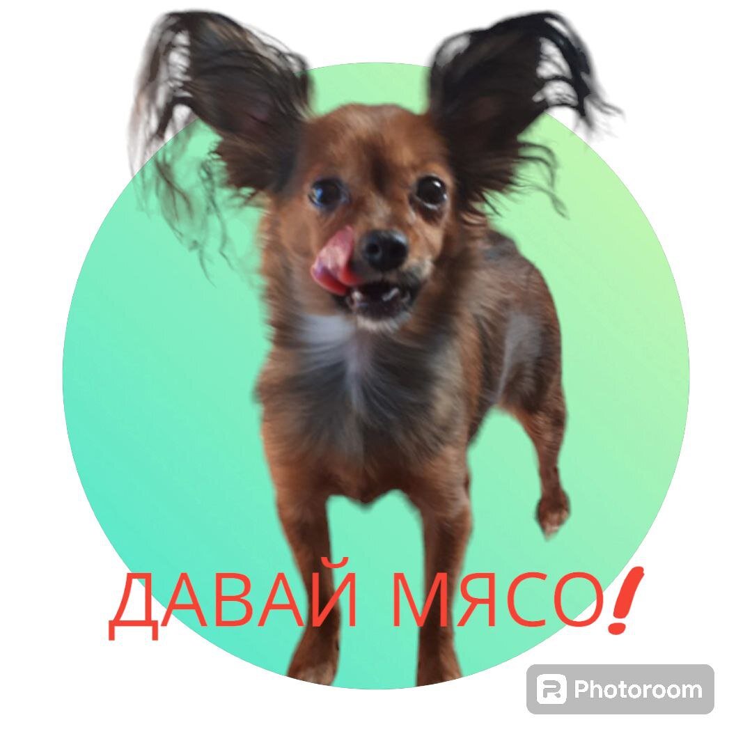 обработка автора, фото из семейного архива. Это Боня