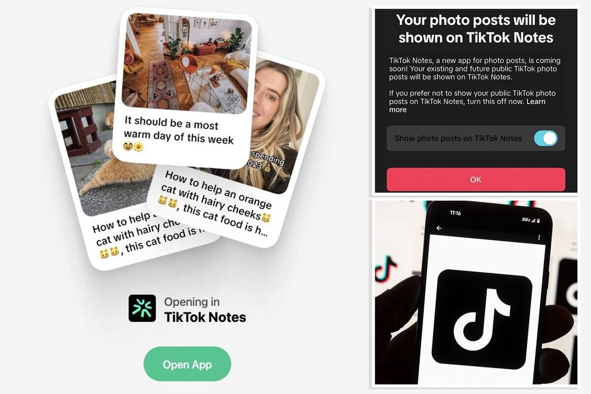 Tiktok запустил аналог Instagram. «TikTok Notes» тестируется в Австралии и  Канаде | Цифровой Океан | Дзен