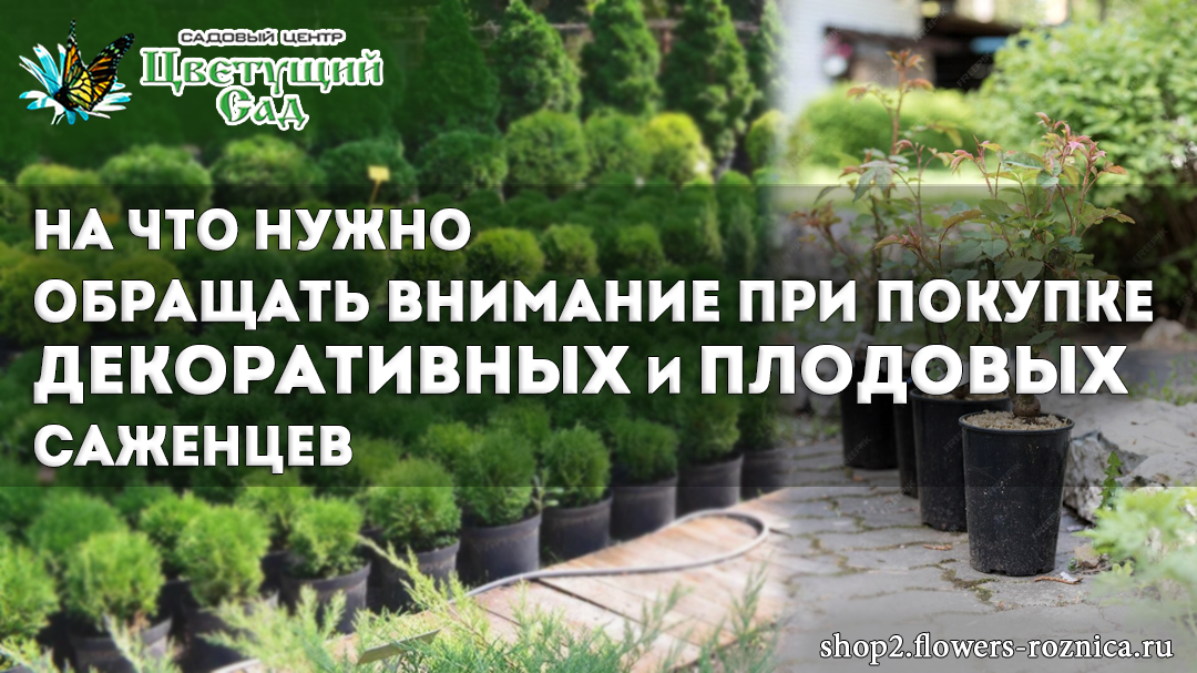 С использованием изображения с freepik.com