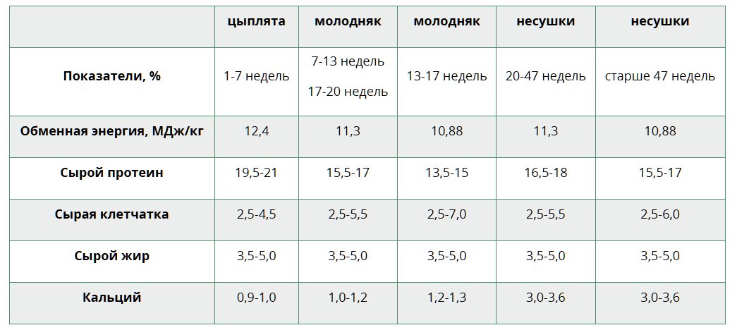 КОРМА ДЛЯ ПТИЦЫ