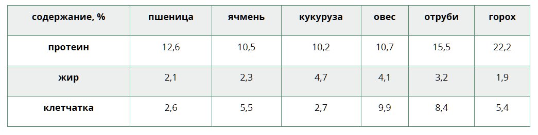 Разница между пивными и пищевыми дрожжами, отличия