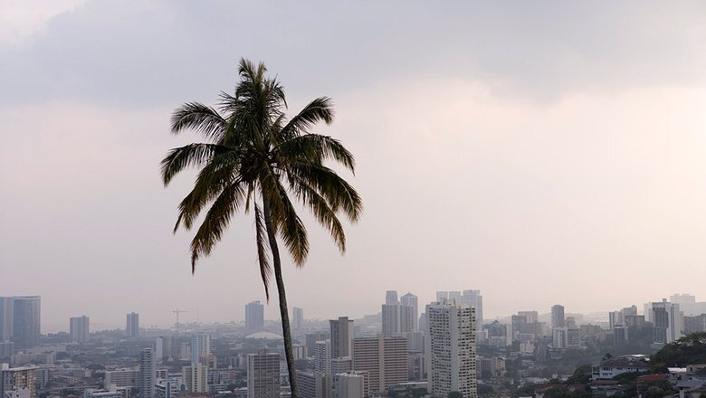 Источник: AP 2023