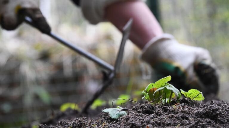 Источник: © РИА Новости