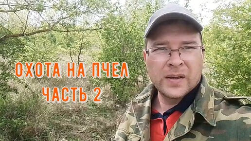 Охота на пчел (часть 2)