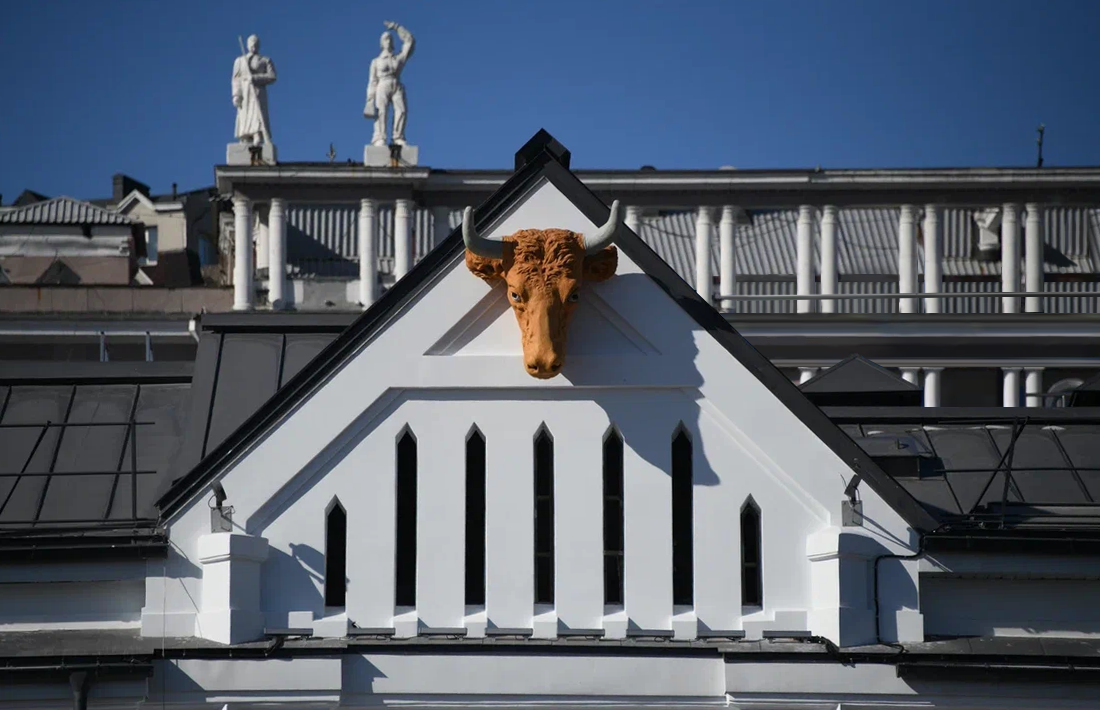 Так выглядит голова быка в новом отреставрированном здании 