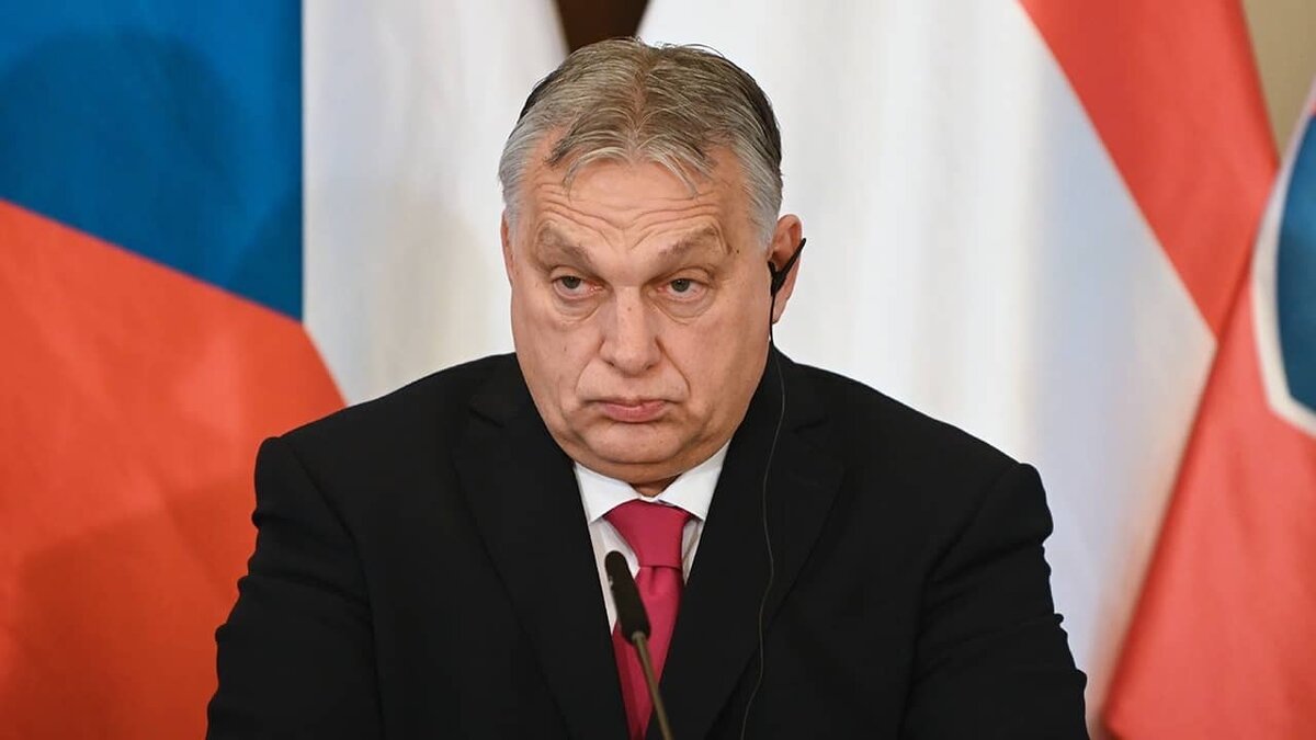 Фото: https://tvzvezda.ru/ (https://mcdn.tvzvezda.ru/storage/news_other_images/2024/03/01/fe9ef9494a284c53af695447ee6fa6ba.jpg)