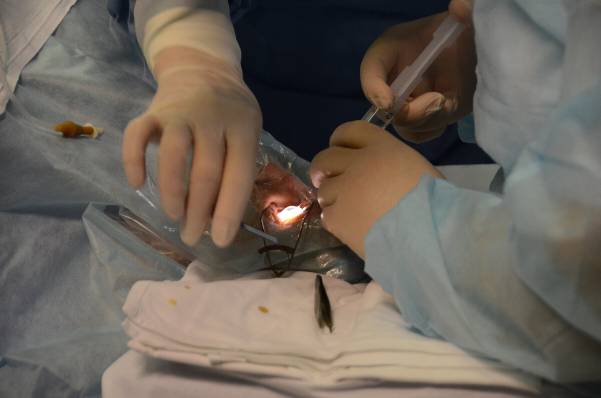 Актер Михаил Мамаев опубликовал в Сети фотографию из больницы, на ней он с повязкой на глазу.  Фото: Фото: ФедералПресс / Татьяна Буторина