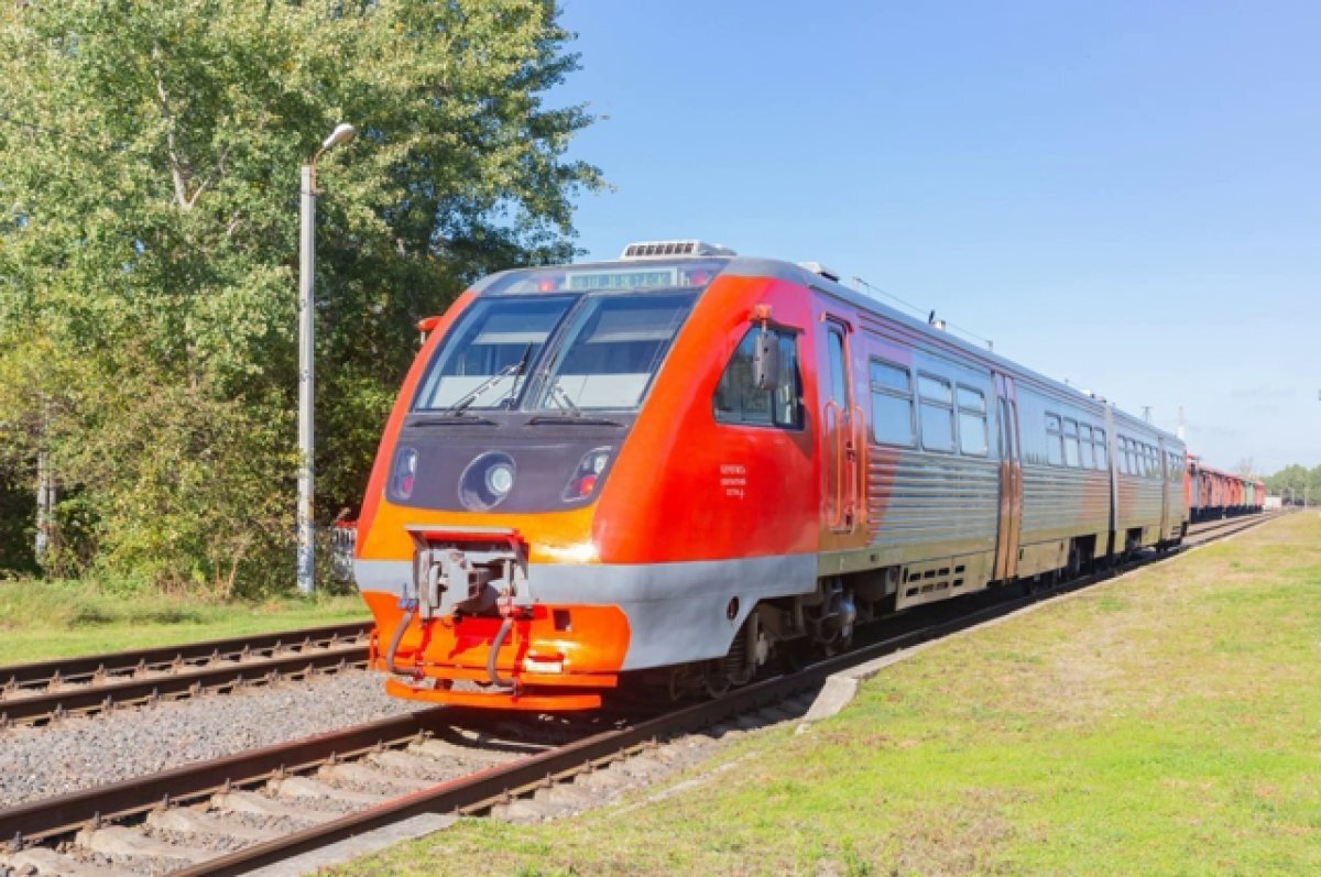    С 1 по 15 мая для ветеранов введут бесплатный проезд в Псковской области