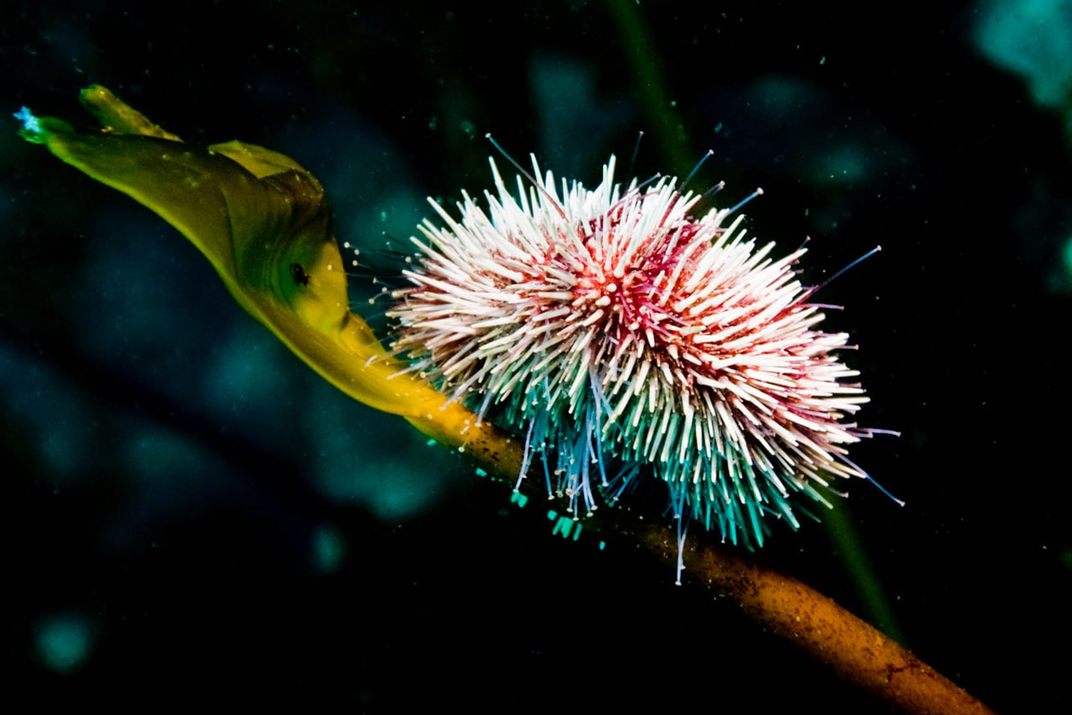 Фото: РИА Новости/Антон Денисов