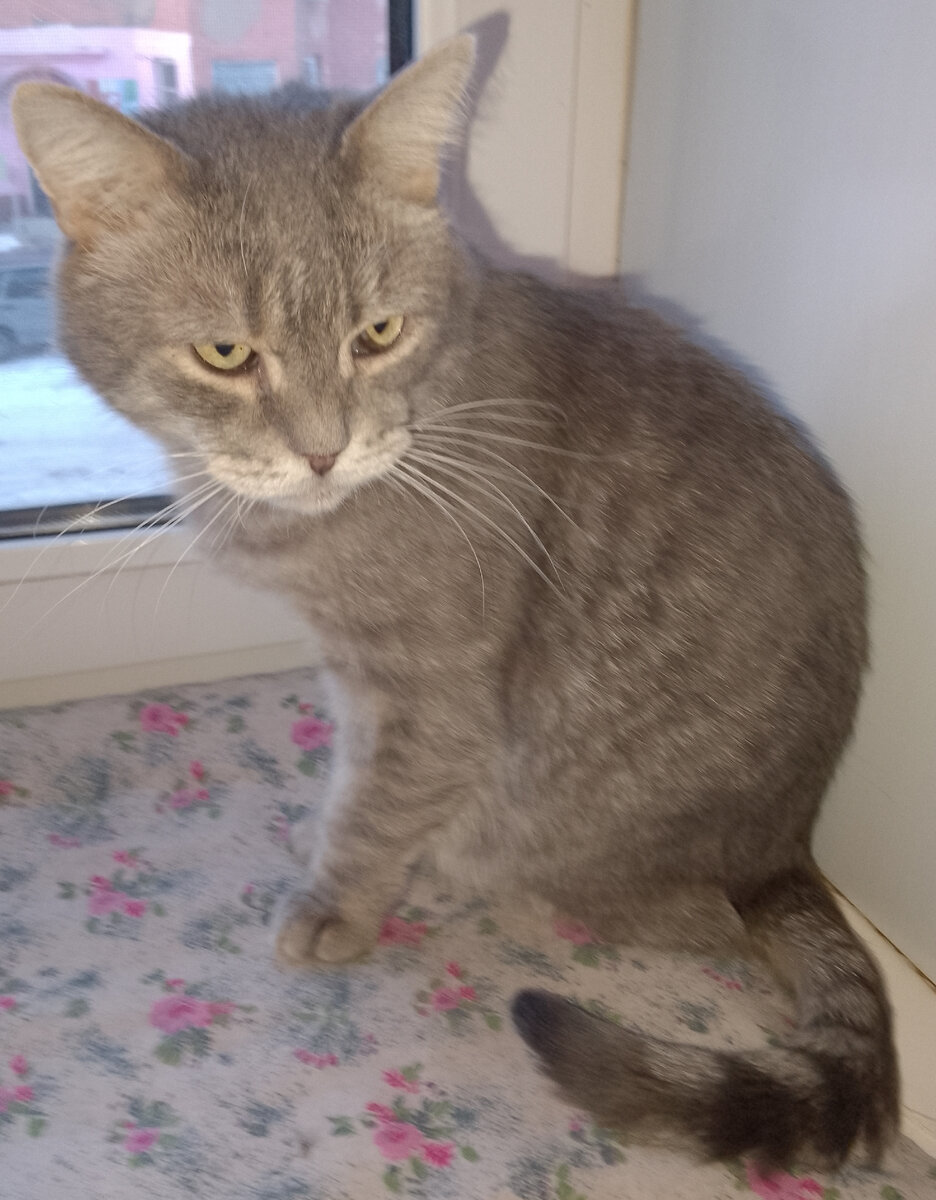 Пока ещё настороженно относится ко всему