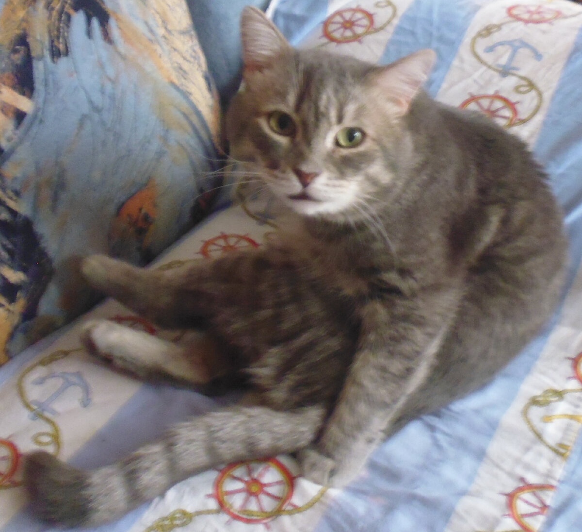 Спал, но испугался. 5 лет назад.