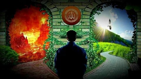 фото из свободных источников