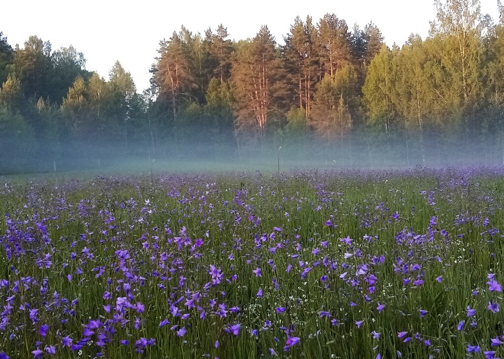 Фото Валентины Дувановой