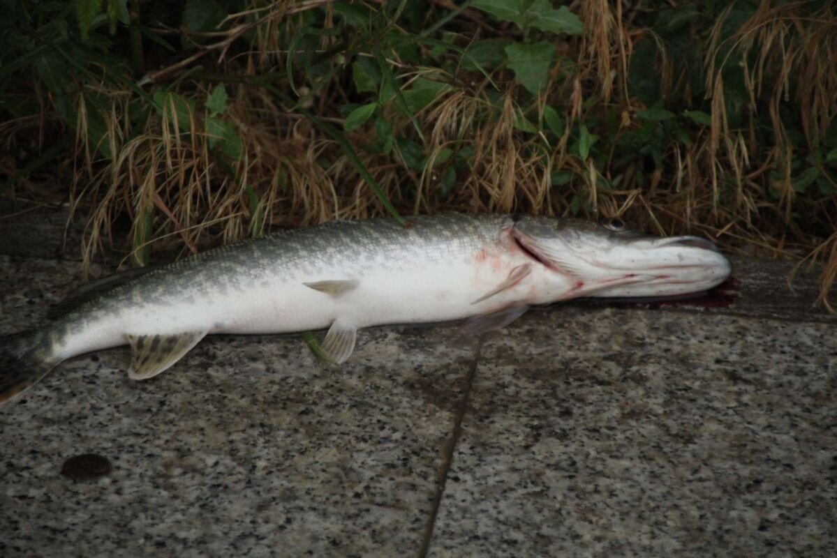 Фото: Е. Зимней