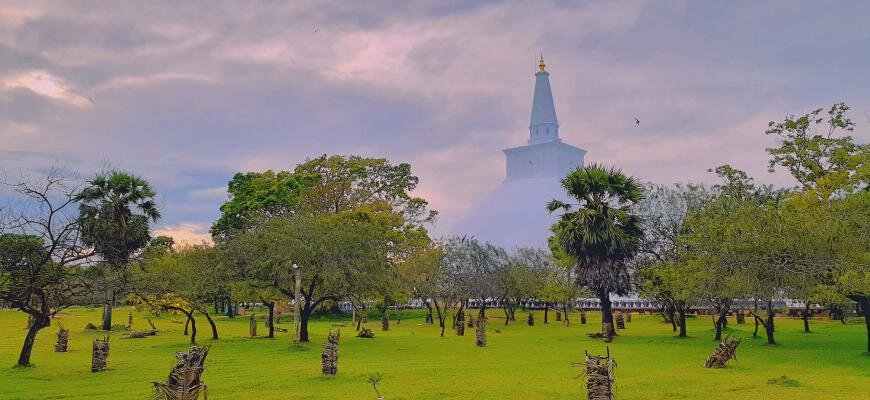 Photo by Izuru Kannagara on Unsplash