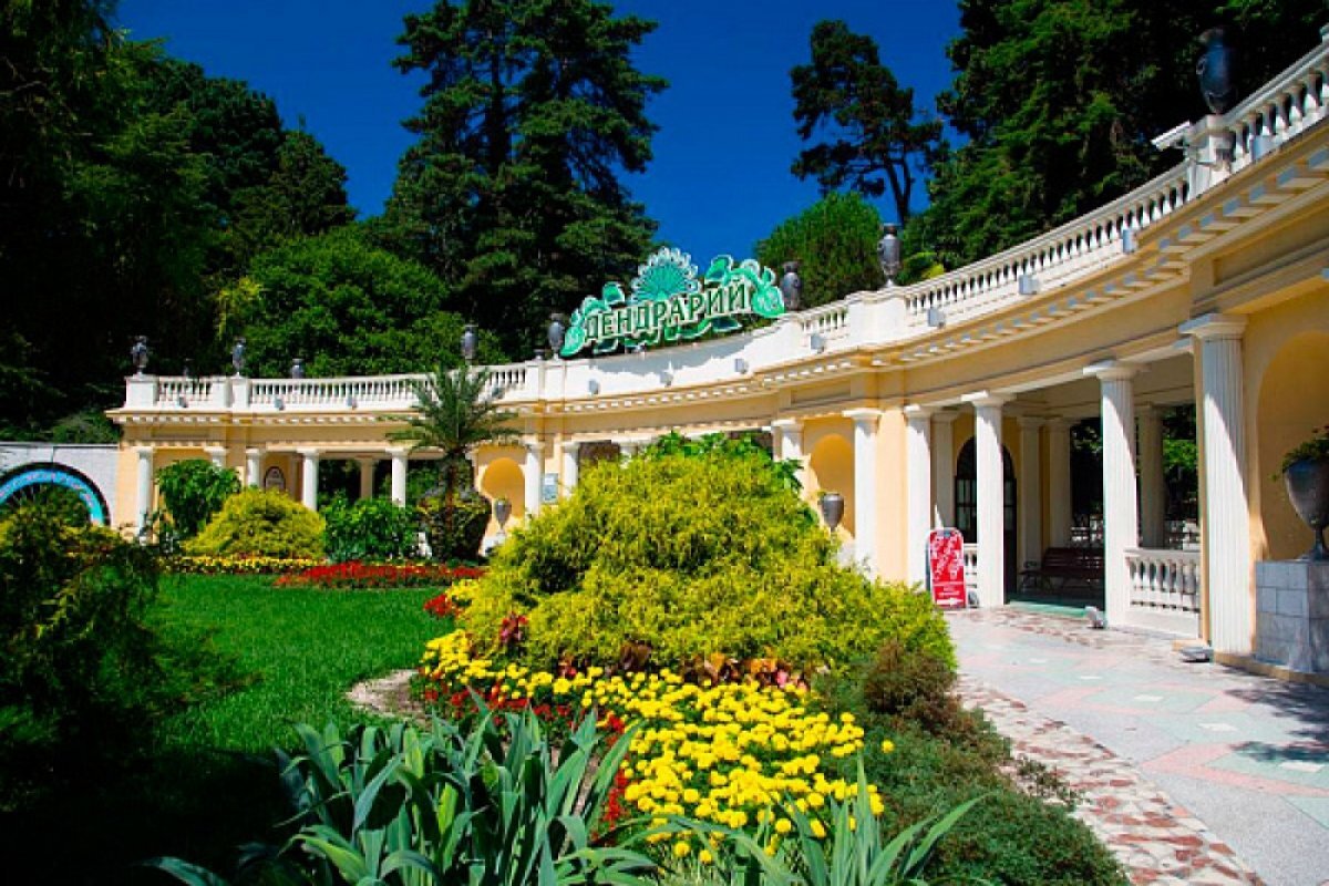    В сочинском «Дендрарии» расцвела 130-летняя глициния