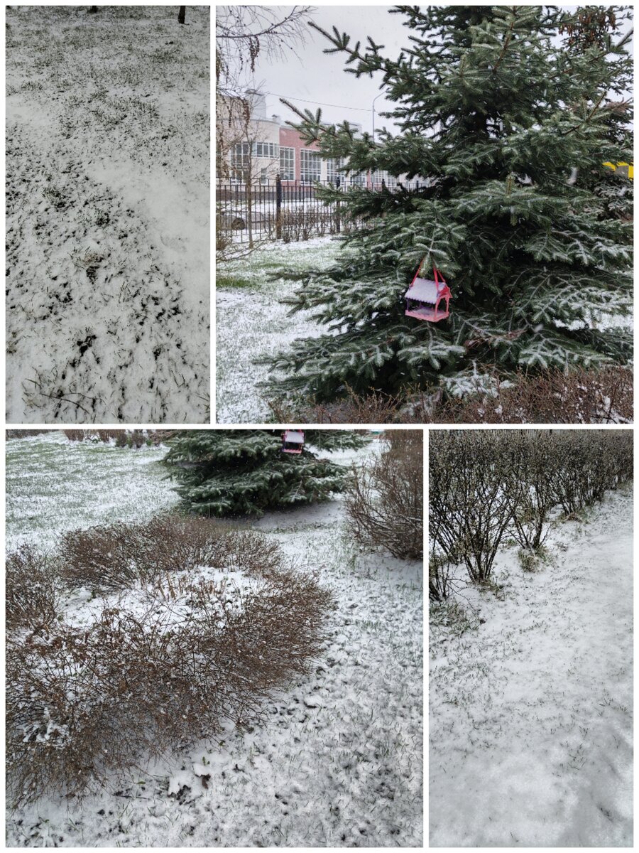 Вот такая сегодня в Питере погода